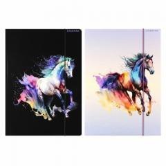Teczka z gumką A4 Horses mix