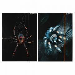 Teczka z gumką A4 Pająk mix