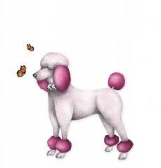 Karnet Swarovski kwadrat Urodziny Pudel