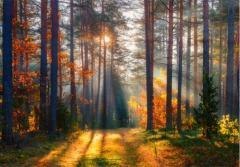 Kalendarz 2026 trójdzielny MIX