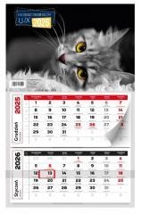 Kalendarz 2026 dwumiesięczny lux