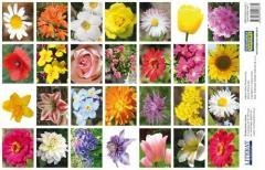 Naklejki. Kwiaty
