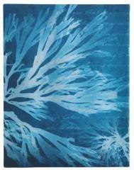 Notatnik linia Sea Flowers midi