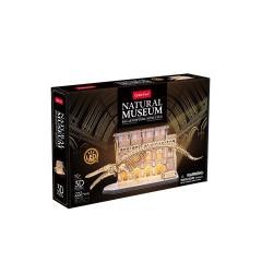 Puzzle 3D led natural museum Płetwal błękitny