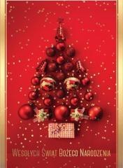 Karnet B6 PP-2124 Boże Narodzenie