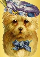 Karnet B6 brokat z kopertą Piesek wróżka