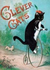 Karnet B6 z kopertą Mądre koty