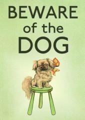 Karnet B6 z kopertą Strzeż się psa