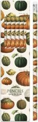 Ołówki ozdobne STPEN43 dynie 6szt