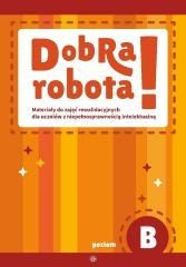 Dobra robota! Poziom B. Materiały do zajęć