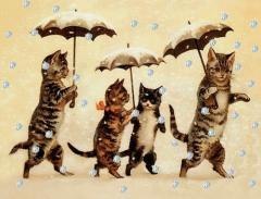 Karnet mini brokat z kopertą Święta Kotki