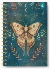 Kołonotatnik ozdobny B5/160K kratka