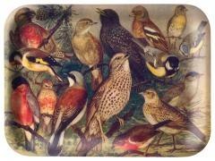 Tacka kuchenna ozdobna Ptaki