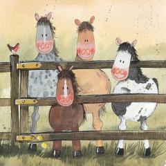 Karnet AC28 Konie i kuce