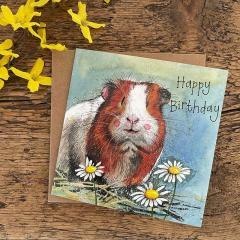 Karnet Urodziny Świnka morska Gordon