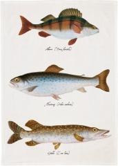 Ręcznik kuchenny - Ryby