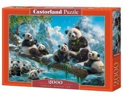 Puzzle 2000 Pandas' Winter Fun