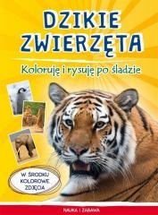 Dzikie zwierzęta. Koloruję i rysuję po śladzie