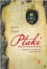 Ptaki Puszczy Białowieskiej