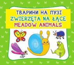 Zwierzęta na łące. Meadow animals