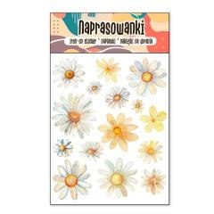 Naprasowanki Termo Naklejki na Ubrania Stokrotki