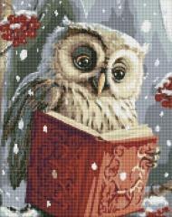 Diamentowa mozaika - Sprytna sowa 40x50cm