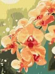 Malowanie po numerach - Orchidea w kroplach 30x40
