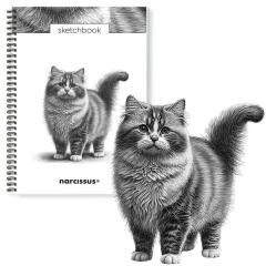 Szkicownik A4/50K na spirali - Kot