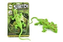 Jaszczurka rozciągliwa