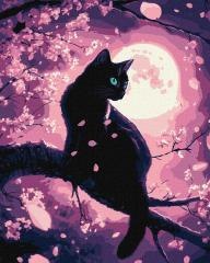 Malowanie po numerach -Czarujący kot 40x50cm