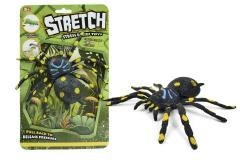 Pająk rozciągliwy