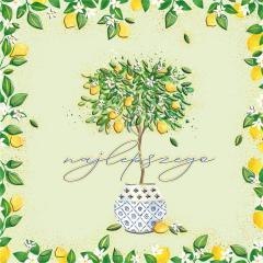 Karnet KW Drzewko cytrynowe