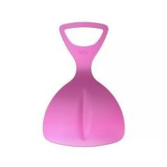 Ślizg jabłko róż