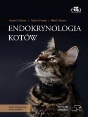 Endokrynologia kotów