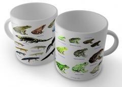 Kubek - Płazy SOLITON