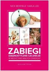 Zabiegi diagnostyczne i lecznicze ...