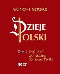 Dzieje Polski. Tom 2. Od rozbicia do nowej Polski