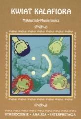 Streszczenia - Kwiat kalafiora LITERAT