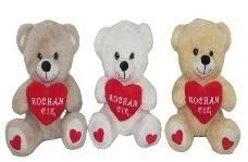 Miś z sercem 25cm MIX