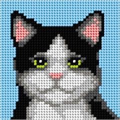 Haft. Moje pierwsze wyszywanie - Czarny kot