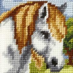 Haft. Moje pierwsze wyszywanie - Konik