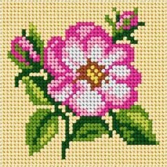 Haft. Moje pierwsze wyszywanie - Kwiat jabłoni