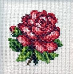 Haft krzyżykowy - Czerwona róża