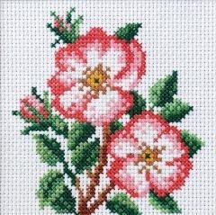 Haft krzyżykowy - Dzika róża