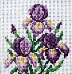 Haft krzyżykowy - Irysy