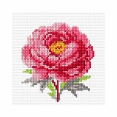 Haft krzyżykowy - Róża