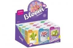 Klocki Sukulenty doniczka mix