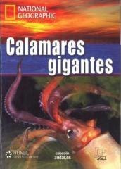 Calamares gigantes C1