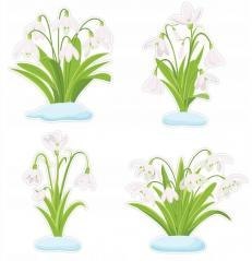 Dekoracje okienne - Przebiśniegi 4el