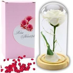 Wieczna Róża W Szkle Kopuła LED